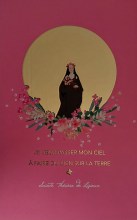 Lot de 25 images Sainte Therèse de l'Enfant Jésus - Sainte patronne secondaire de la France - dorure.  