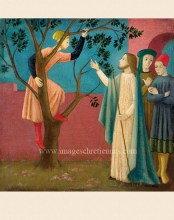 image de premiere communion jésus et zachée dans son arbre